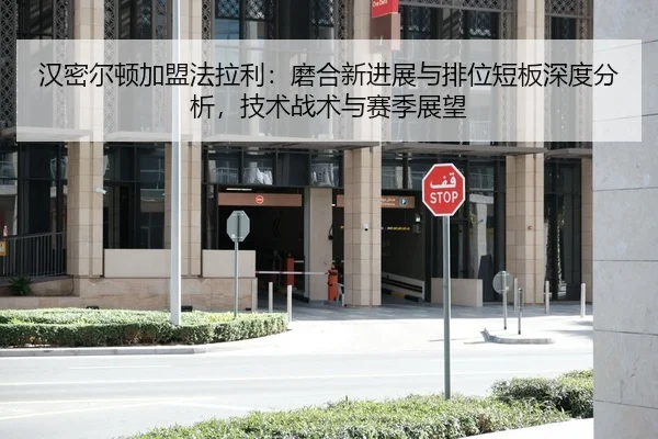 汉密尔顿加盟法拉利：磨合新进展与排位短板深度分析，技术战术与赛季展望